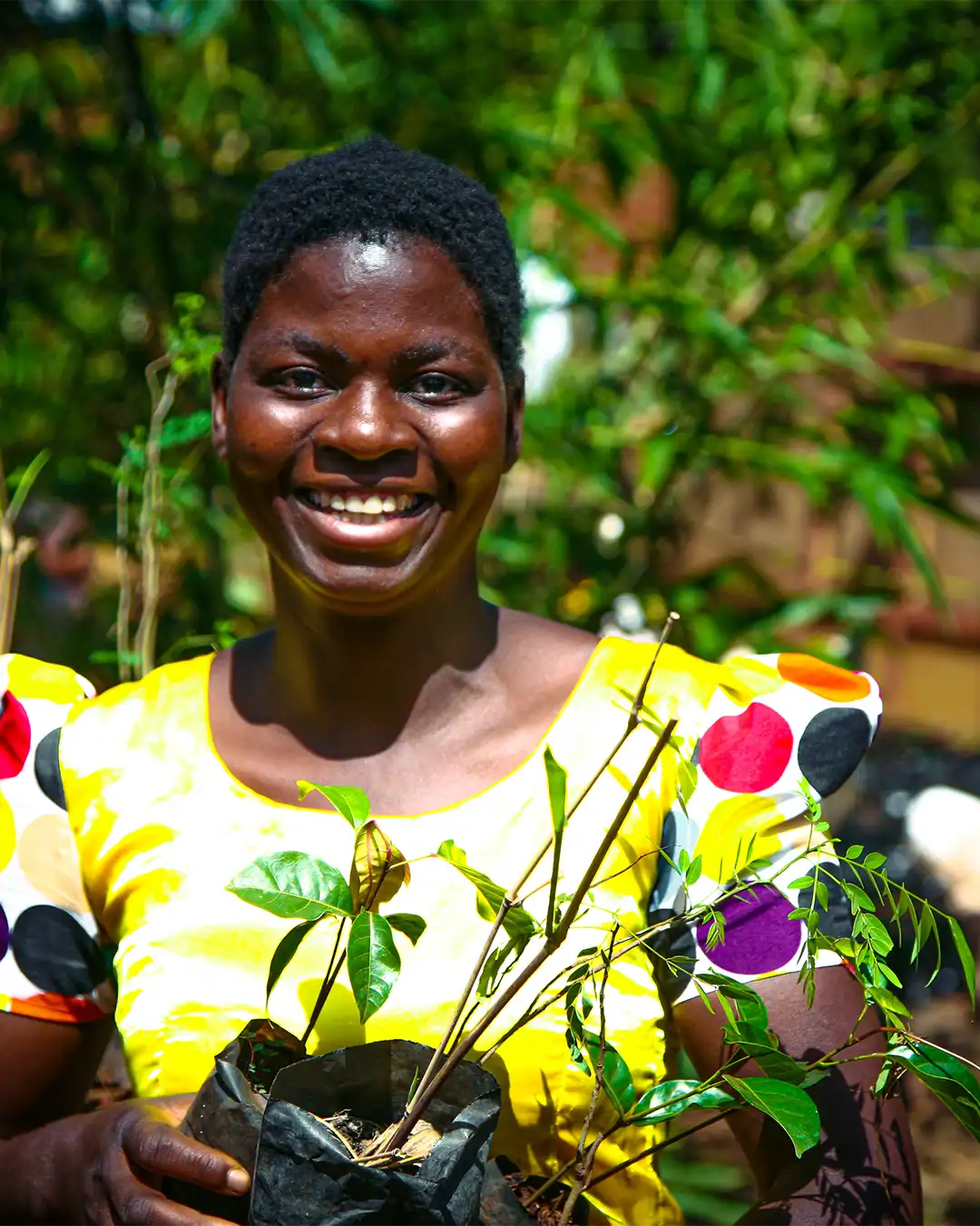 An African woman holding some saplings smiles brightly at the camera