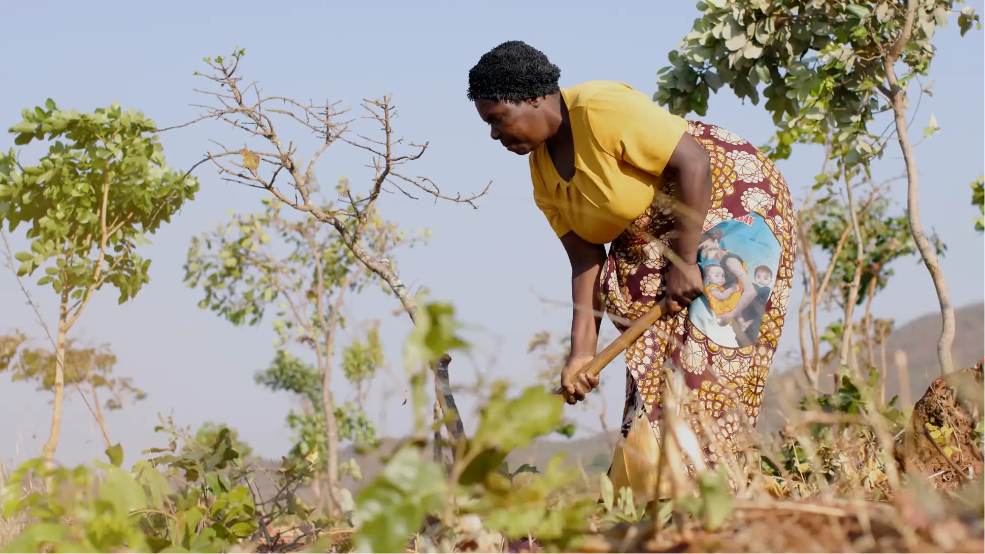 An African woman tends to her garden, with fresh new plants emerging from the soil in the foreground